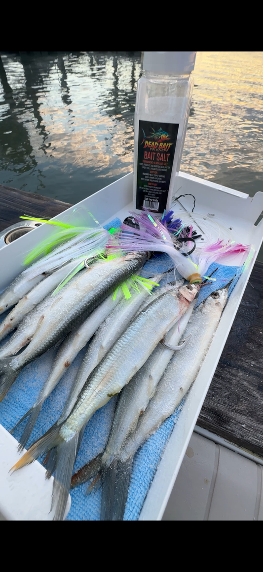 Dead Bait Solutions: Professional-Grade Tournament Bait Salt Salted Ballyhoo