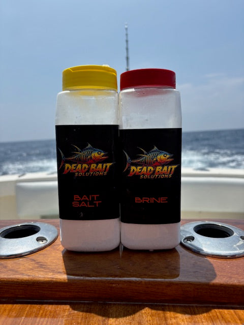Ballyhoo treated with bait salt and brine for tougher, longer‑lasting marlin bait