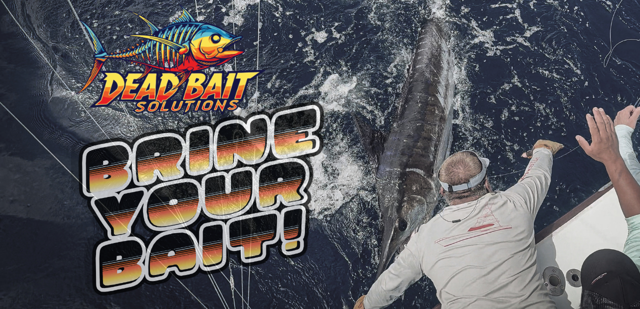 Fishing scene with a large fish and a person on a boat, featuring 'Dead Bait Solutions' branding.